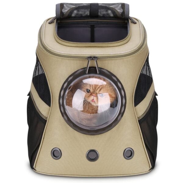 ginger persian cat in wheat fat cat backpack