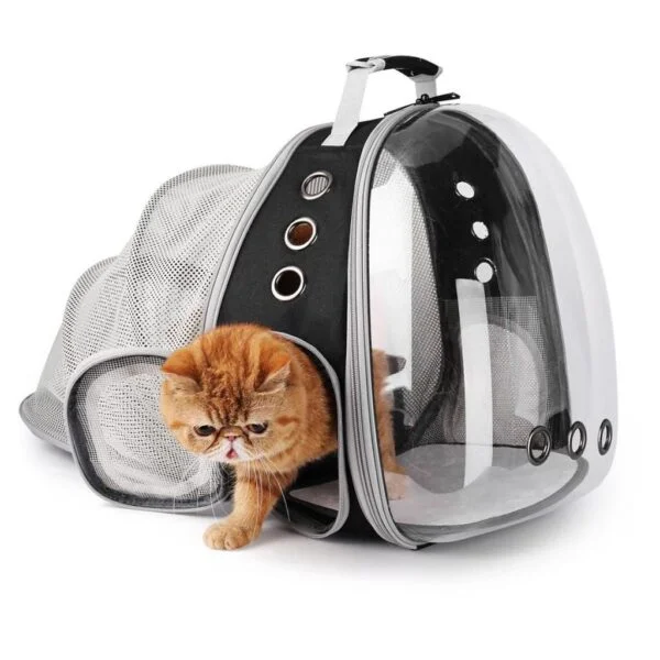black expandable clear bubble cat backpack