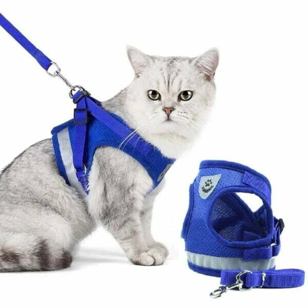 blue reflective cat harness leash set