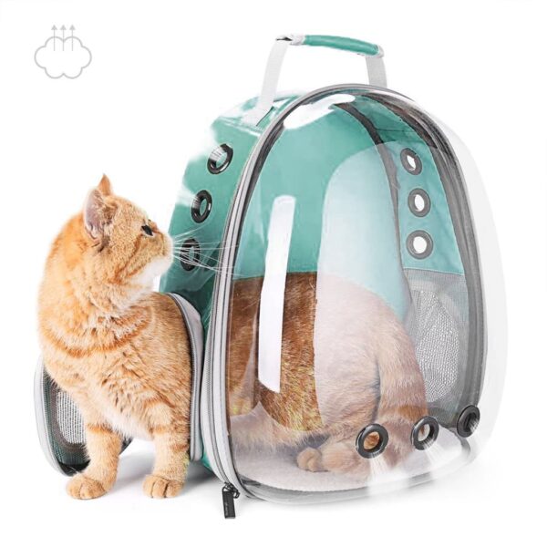 ginger kitty playing green clear bubble cat backpack
