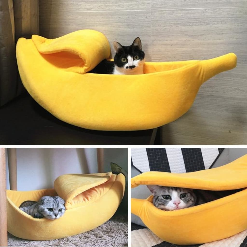 cat playing yellow banana cat bed collage view