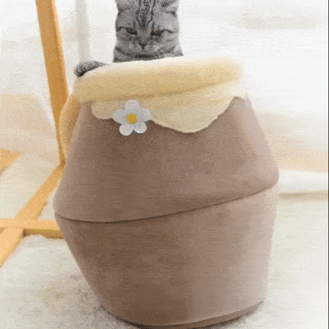 honey pot cat bed